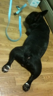 �i���܂��B