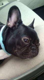 ���������B