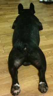 �Z�N�V�[�V���b�g�B