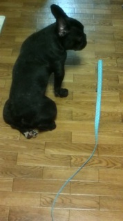 �҂��܂��B