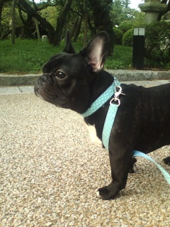 ���U���B