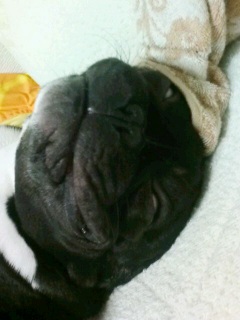 ����MAX�I�I�d�������I�I