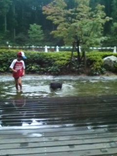 �y�����ˁ[�[�I�I