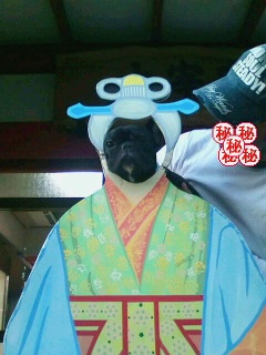 �����P�B