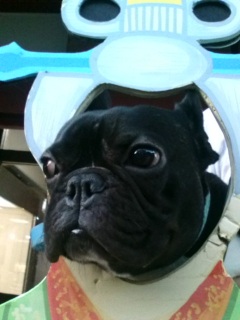 �����P�A�b�v�ҁB