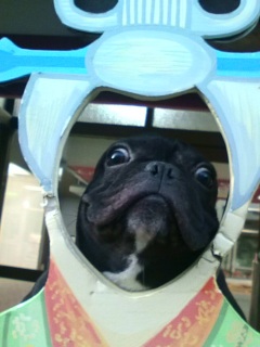 �����P�A�b�v�ҁB���̂Q�B