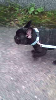 �^�b�^�b�^�b