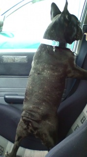 ���Ƃ�����܂��[�[�H