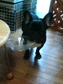 �������璆