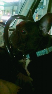 �^�]���邾���B