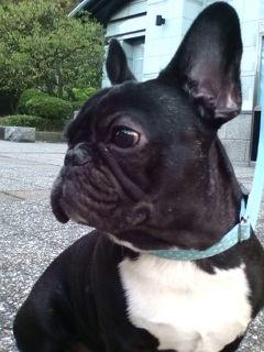 �߂�ɕt���Ă�x�n�I