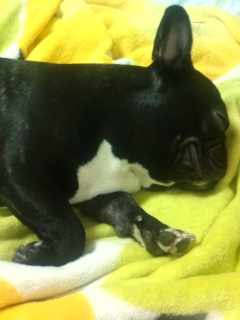 �C�r�L��(��)