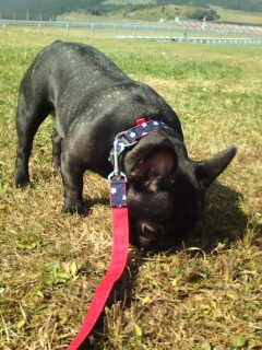 �ނ���ނ���B