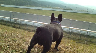 ���s��邾���B