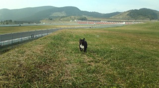 �_�b�V�������I