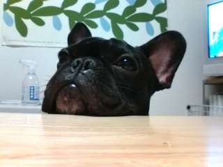 �݂���҂��B