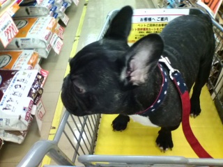 �z�[���Z���^�[�ŁB