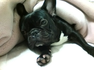 �����ċN���������܂���