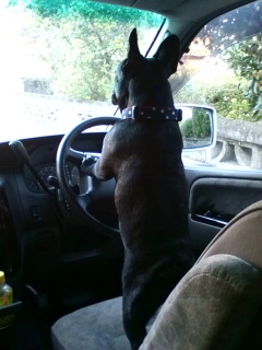 �^�]���邾���B