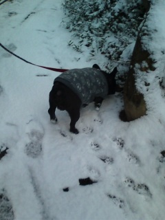 ��̒����U���B