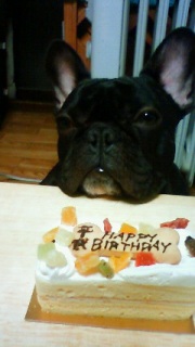 �͂��҂΁[���Ł[��