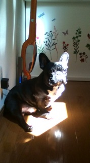 ���̓�����ꏊ�Ƌ��Ɉړ����錢(��)