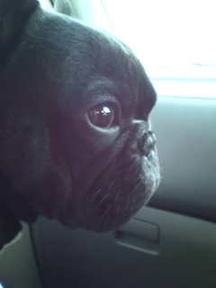 ���������B�o�߂P