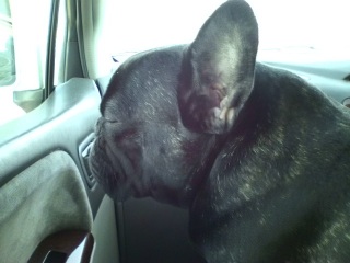 ���������B�o�߂Q