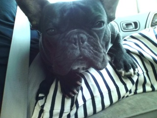 ���������B�o�߂R