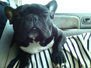 ���������B�o�߂S