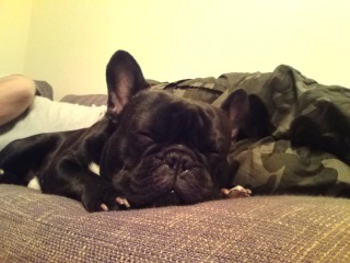 �����Ƃ��ƃ\�t�@�ŐQ�Ă܂�