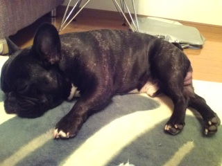 �������킢�������B