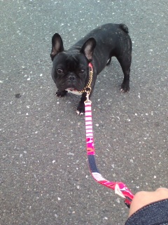 �J���[�ƃ��[�h�B