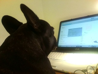 ����ƌq�������I