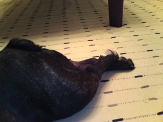 �ŋߑ������������ĐQ�܂��B