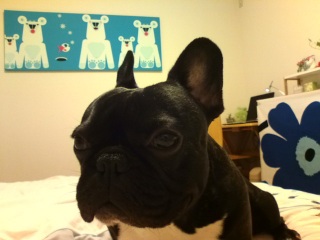 �A�Q�O�̕�������B