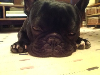 �ڂ��[�[�I�I