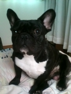 �Q�N���ł��B