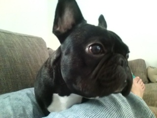 �x���͎��̑��̊Ԃŋx�e�ȕ�������B