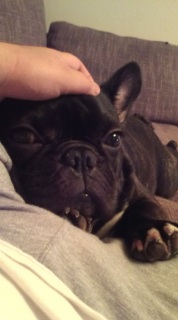 �Ԃ�����B