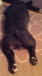 �������[�B