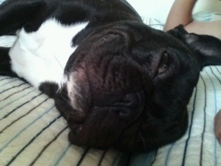 �ڊJ���ĐQ�Ă܂��B