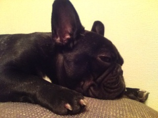 ���������B