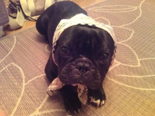 �o�[�o���[�����񂿂��B