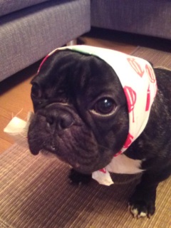 �V��Ăʂ�����