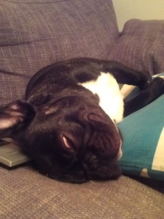 �v�X�̔���