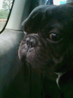 ���D�Y����������B