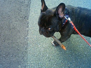 �}����D���ł��B