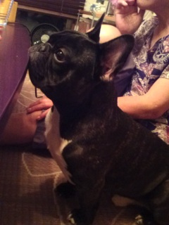 �����~���������B