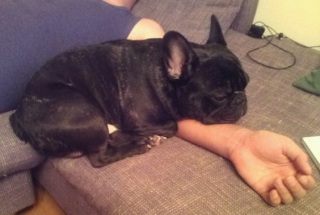 �r�̏�ŐQ�܂��B